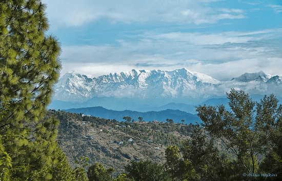 almora myhilltour