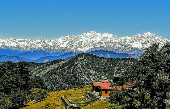 chopta packages myhilltour