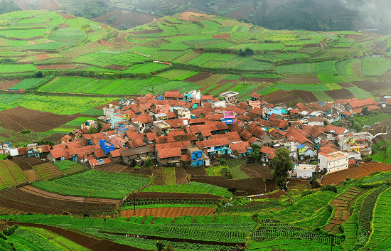 kodaikanal myhilltour