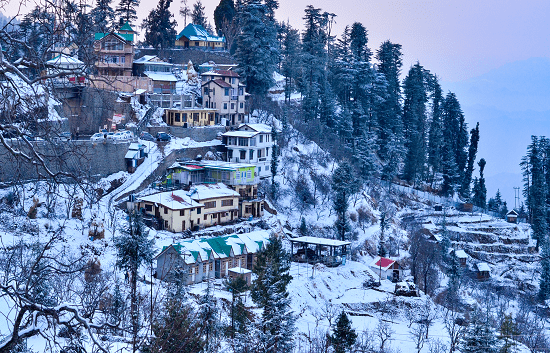 shimla myhilltour 1