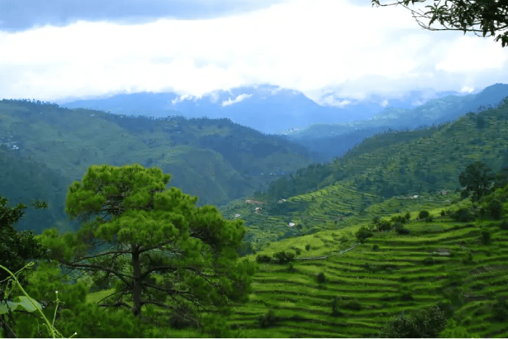 ranikhet tour myhilltour